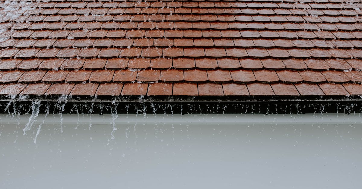 Identifying and Locating Roof Leaks